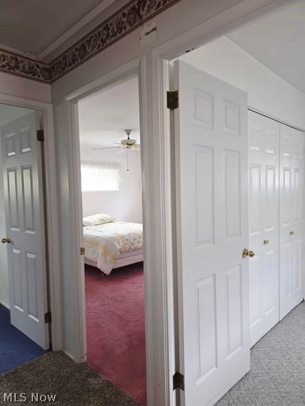 6416 Alderwood Road Parma Heights OH 44130
