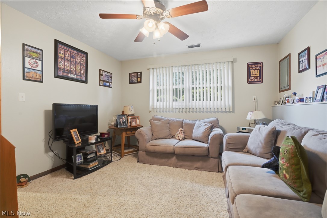 3955 Dunbar Street Austintown OH 44515