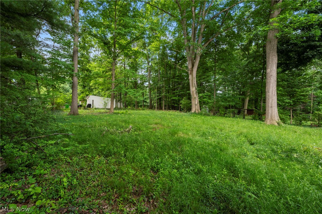 29408 Luxona Avenue Wickliffe OH 44092