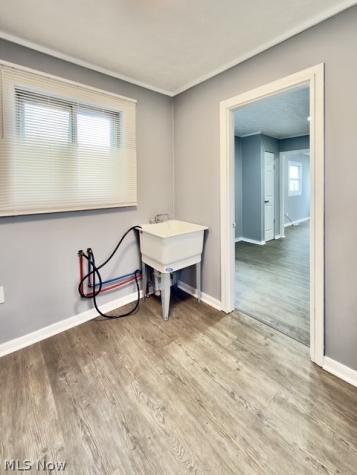 14208 Clifford Avenue Cleveland OH 44135