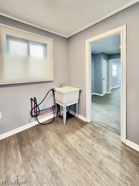 14208 Clifford Avenue Cleveland OH 44135
