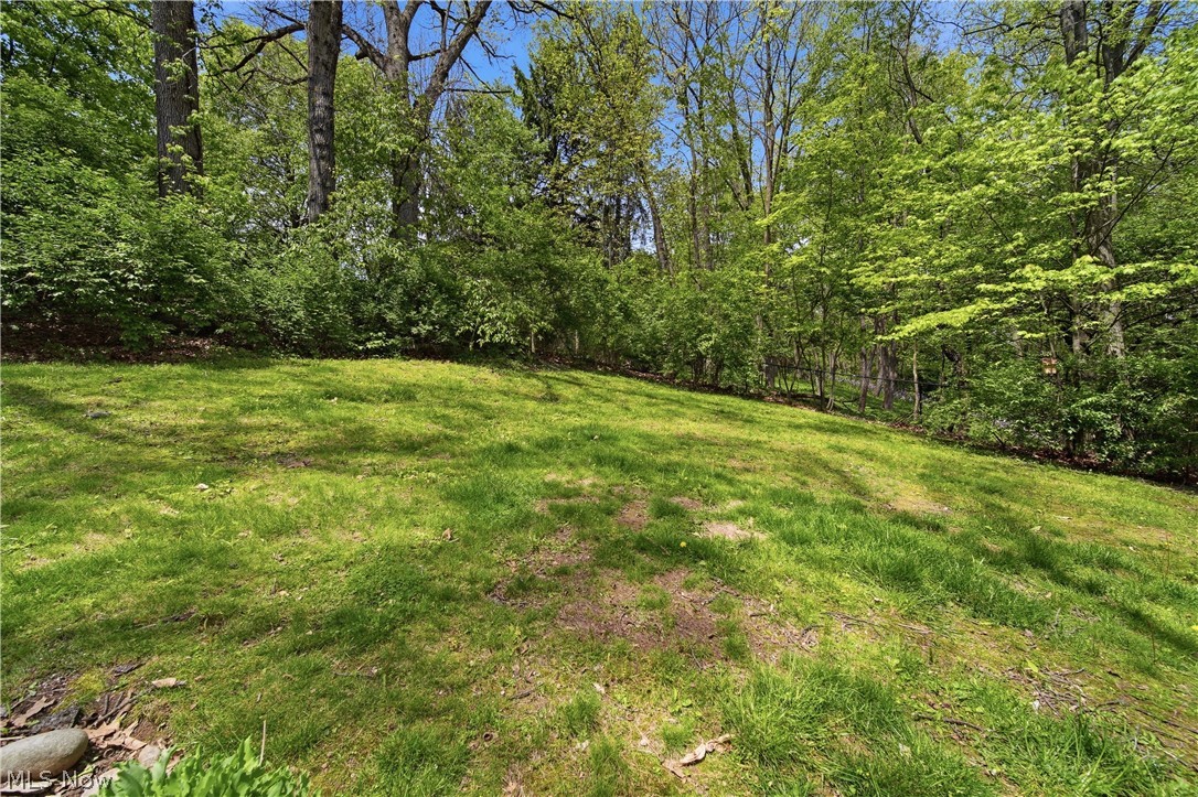 1699 Ambler Avenue SW North Canton OH 44709