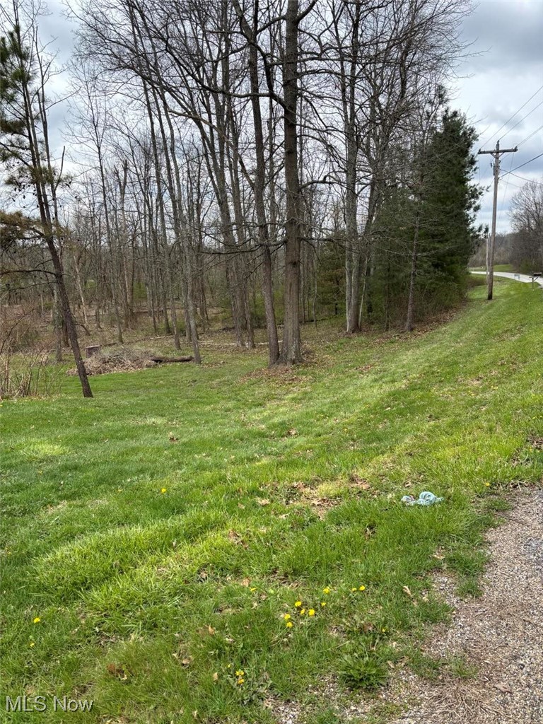13516 Old Glory Road Lore City OH 43755