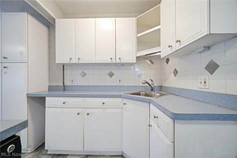4438 Baintree Road University Heights OH 44118