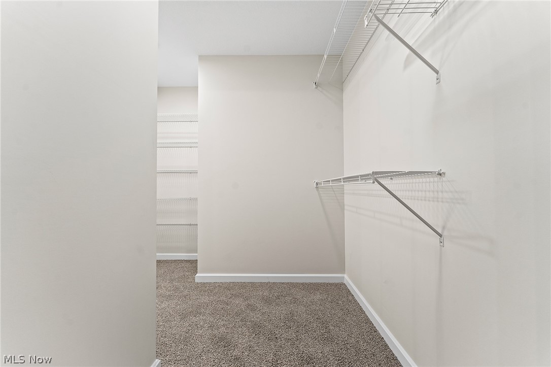 704 Cranberry Creek Boardman OH 44512