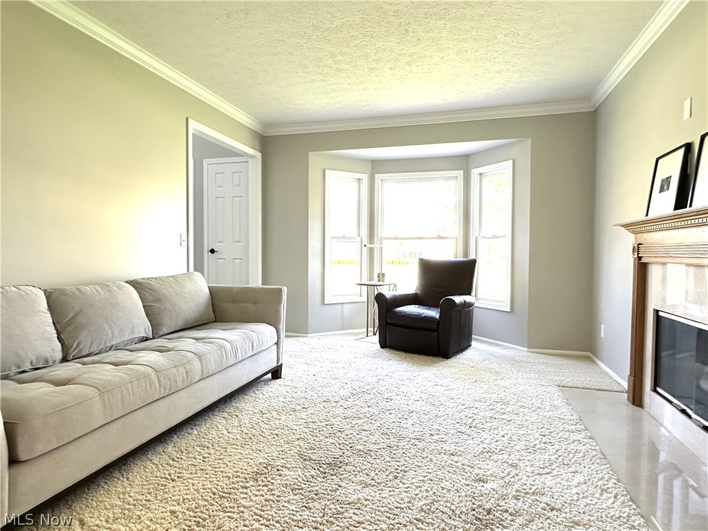 723 Sawmill Drive Avon Lake OH 44012