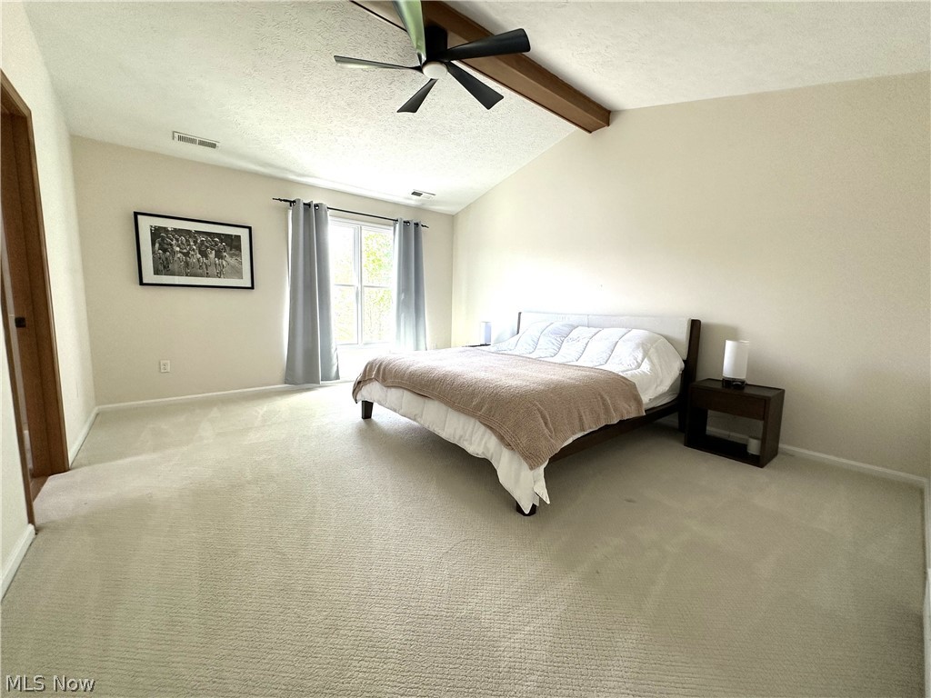 723 Sawmill Drive Avon Lake OH 44012
