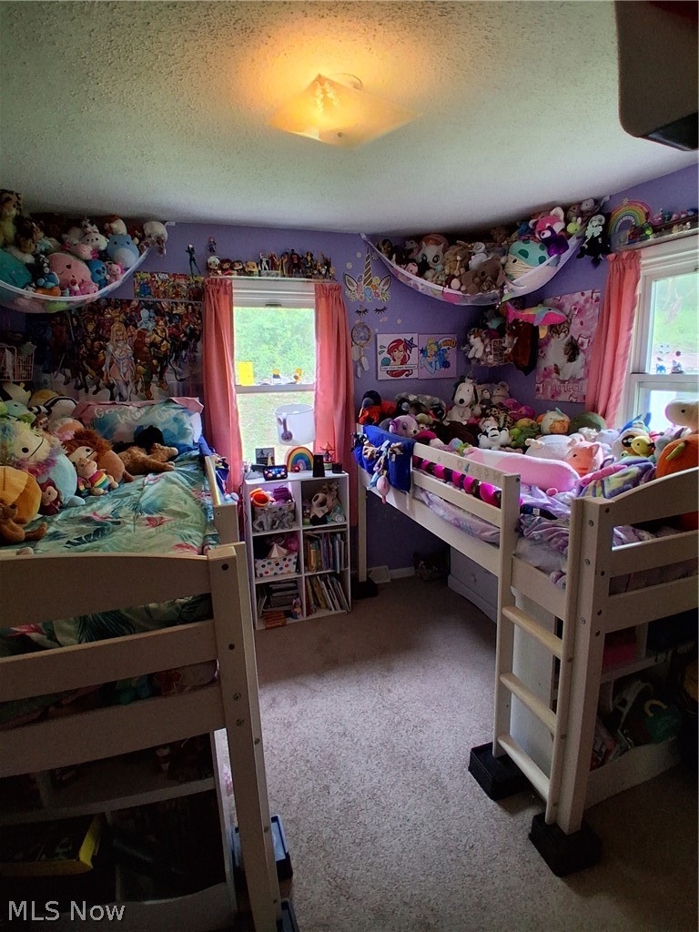 68490 Elm Street Bridgeport OH 43912