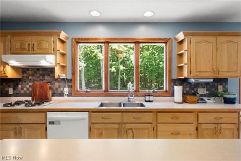 167 Rebecca Lane Brunswick OH 44212