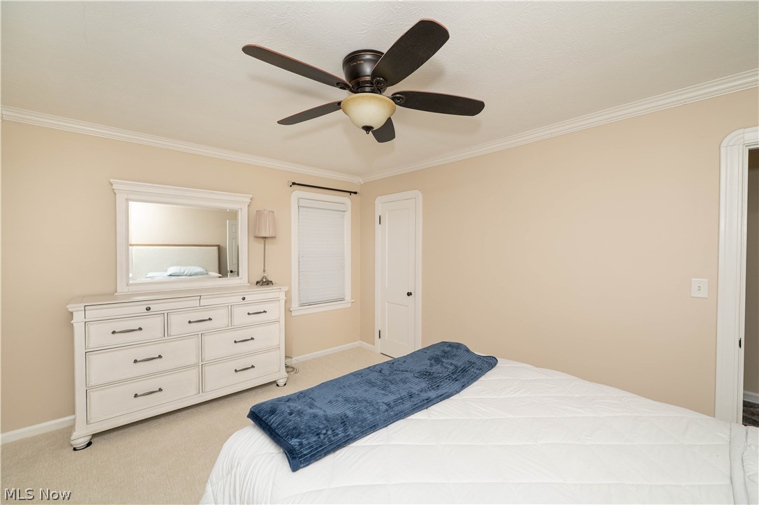 7498 Cadle Avenue Mentor OH 44060