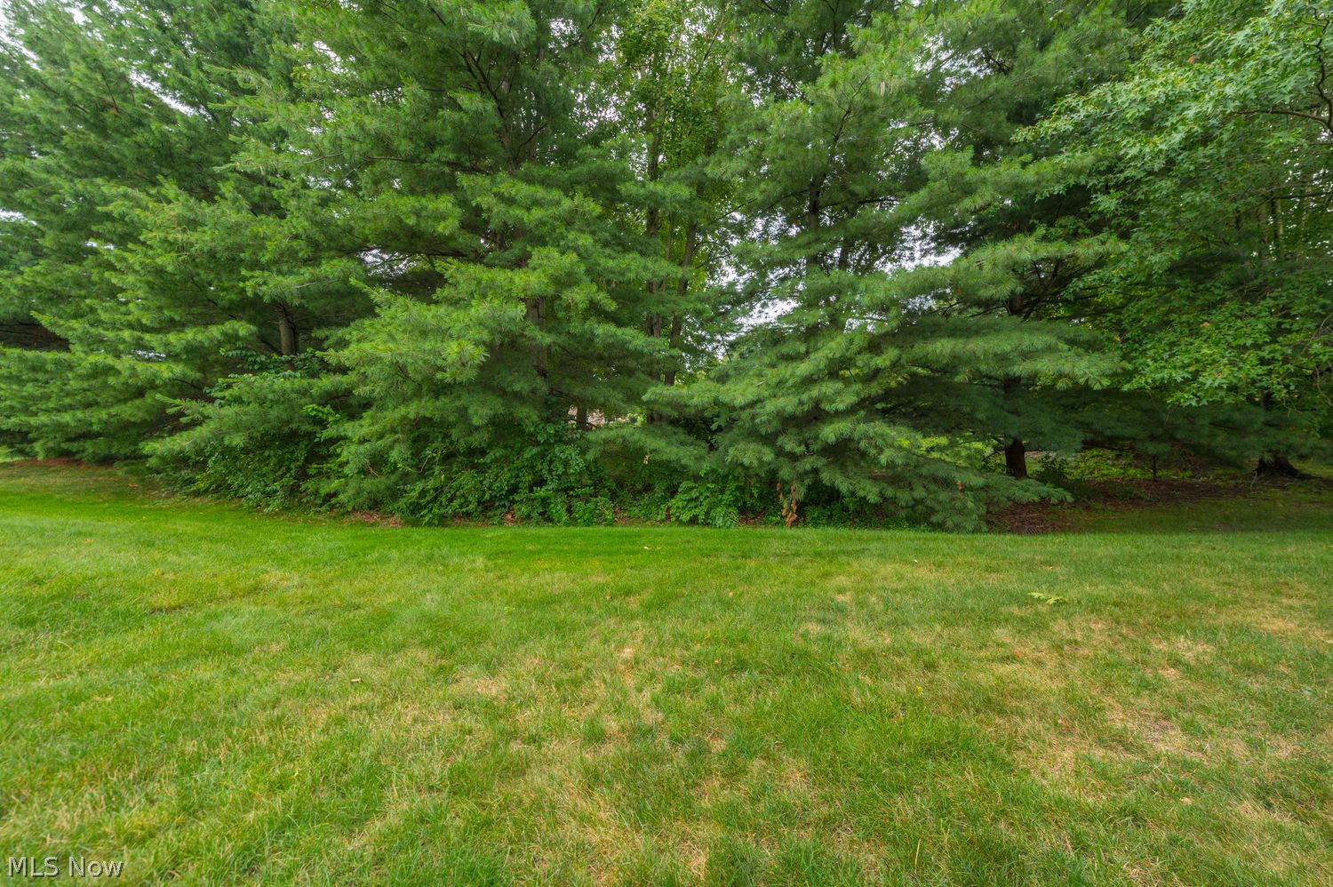 2383 Manchester Lane Avon OH 44011