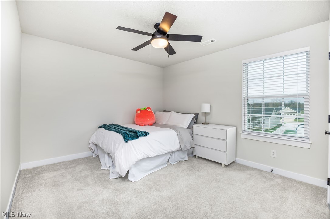5783 Paula Court Medina OH 44256