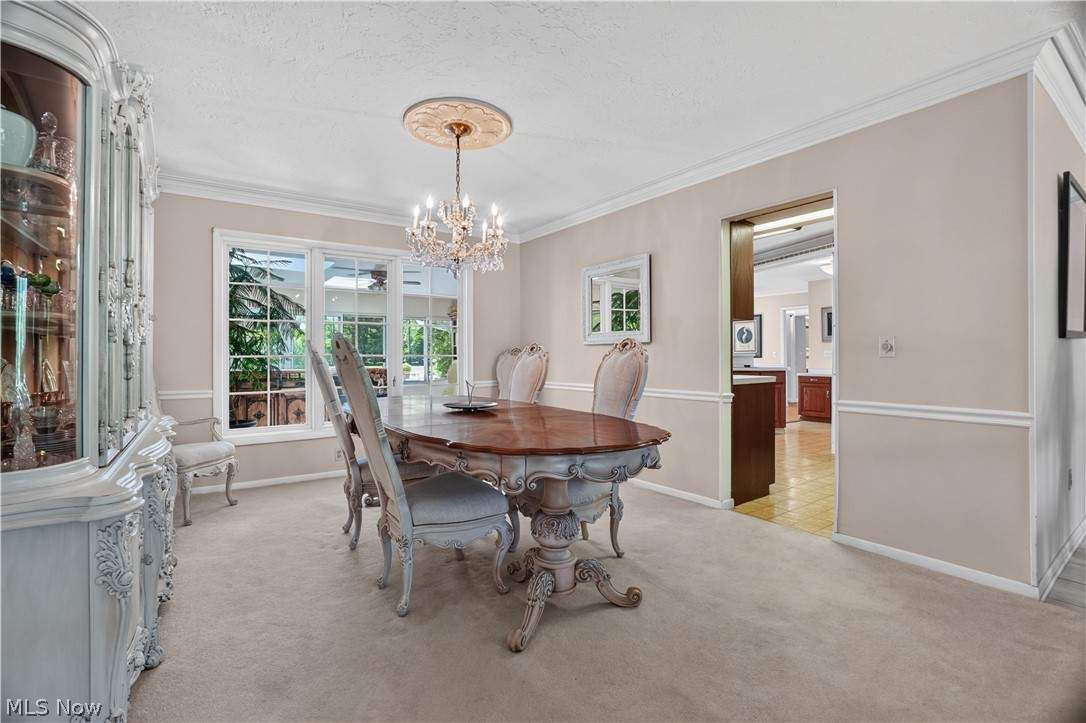 13635 Fox Hills Drive Novelty OH 44072