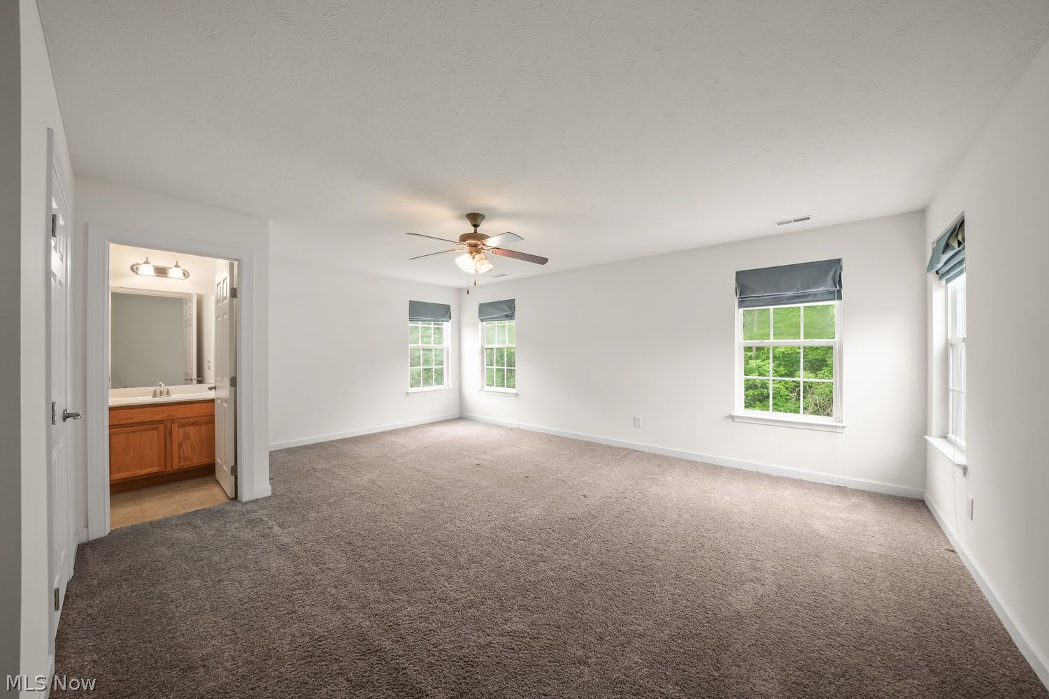 9366 Adam Run Twinsburg OH 44087