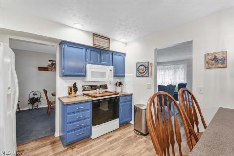 3560 Loma Lane Brunswick OH 44212