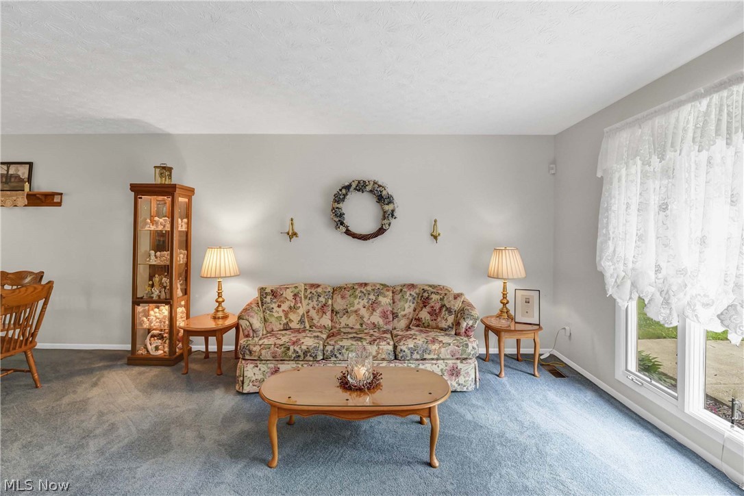 3560 Loma Lane Brunswick OH 44212
