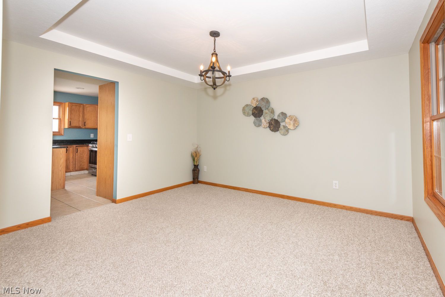 115 Willow Bend Drive Canfield OH 44406
