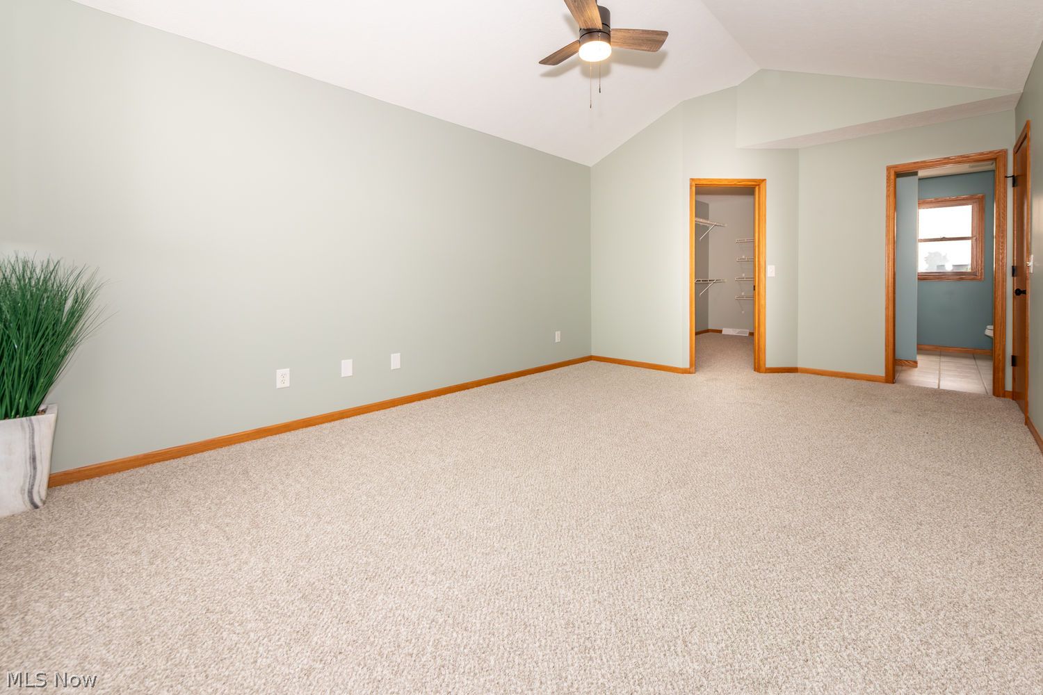 115 Willow Bend Drive Canfield OH 44406