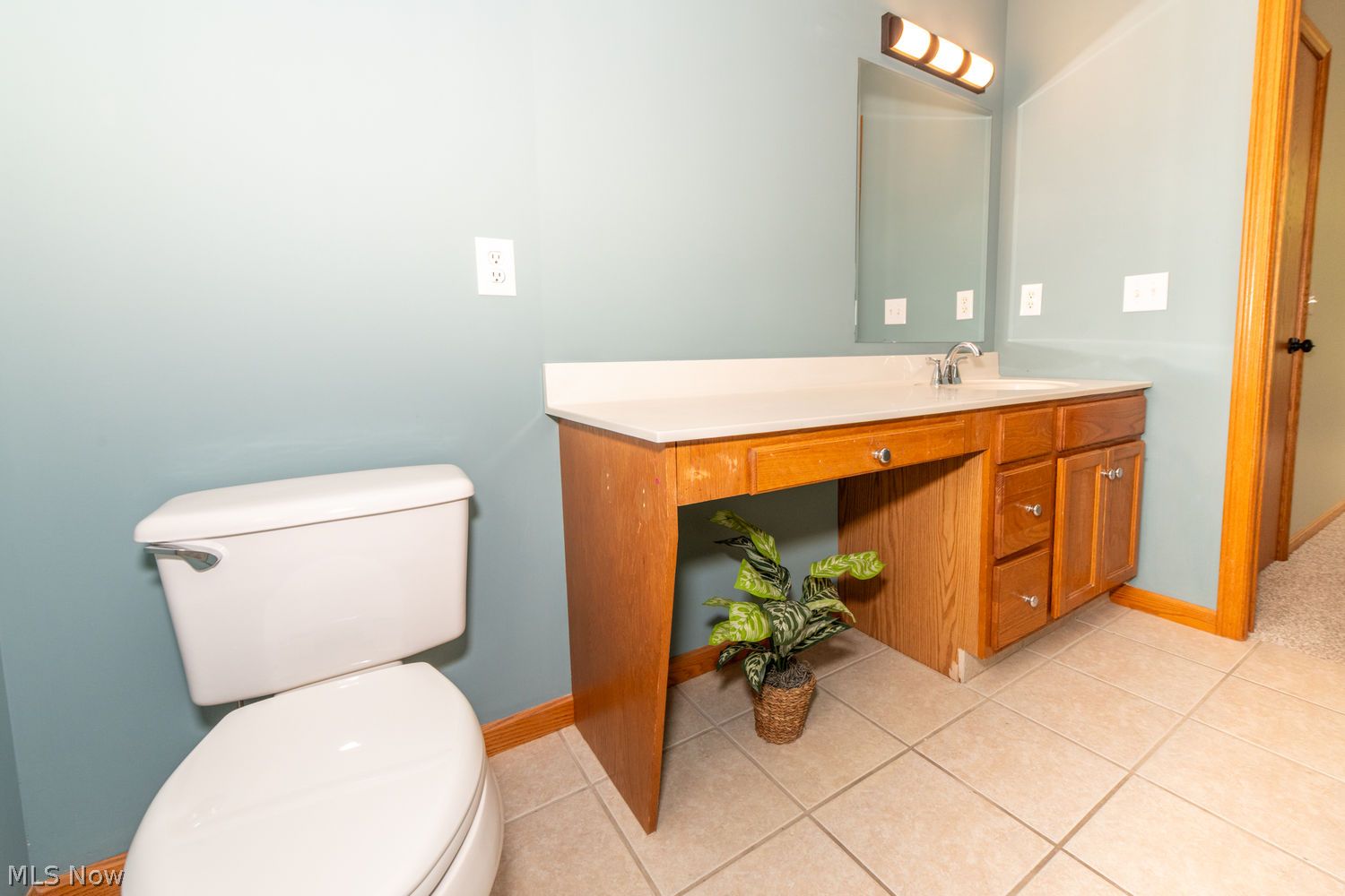 115 Willow Bend Drive Canfield OH 44406