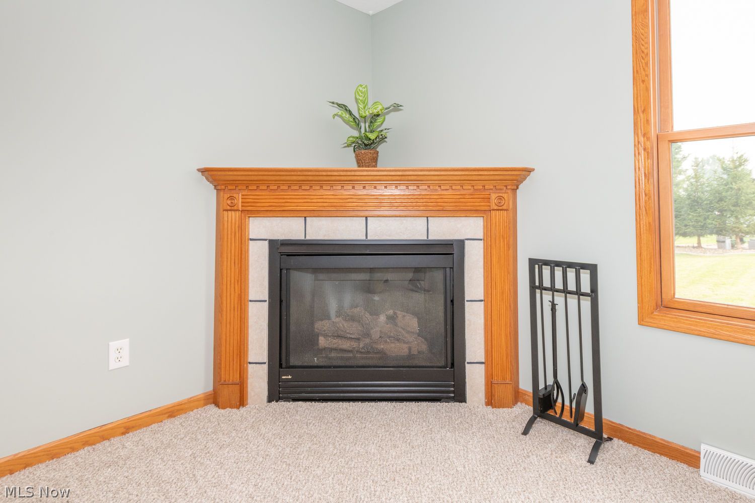 115 Willow Bend Drive Canfield OH 44406