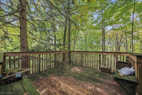 4573 Nettleton Road Medina OH 44256