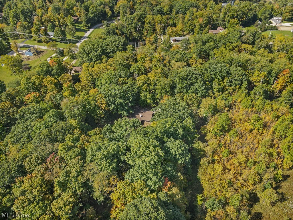 4573 Nettleton Road Medina OH 44256