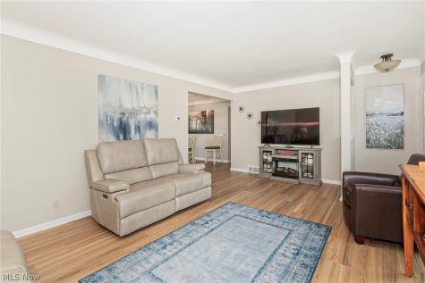 1101 Bonnie Lane Mayfield Heights OH 44124