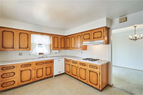 29581 Robert Street Wickliffe OH 44092