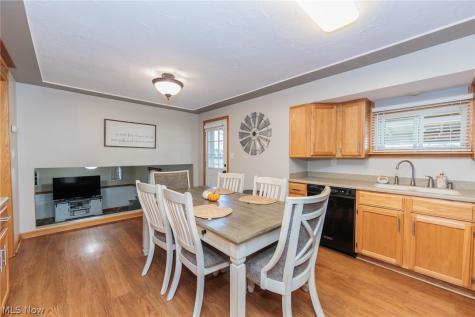 1009 Shelby Court Grafton OH 44044