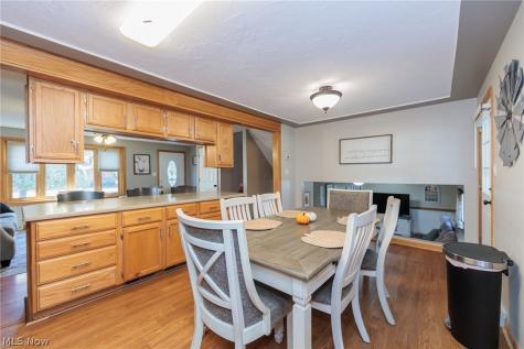 1009 Shelby Court Grafton OH 44044