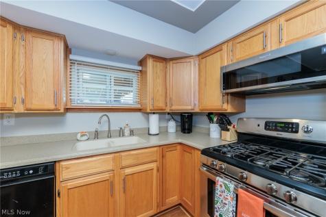 1009 Shelby Court Grafton OH 44044