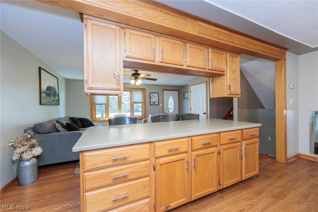 1009 Shelby Court Grafton OH 44044