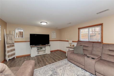 1009 Shelby Court Grafton OH 44044