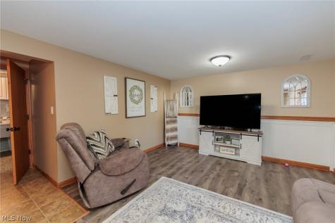 1009 Shelby Court Grafton OH 44044