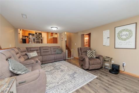 1009 Shelby Court Grafton OH 44044
