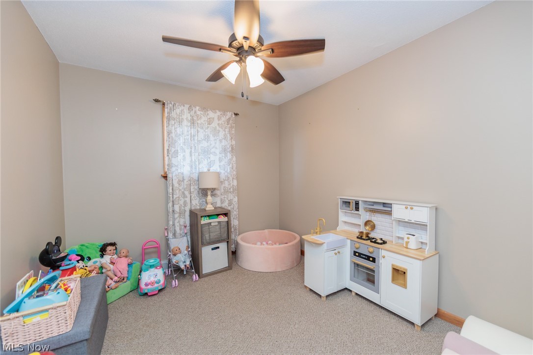 1009 Shelby Court Grafton OH 44044