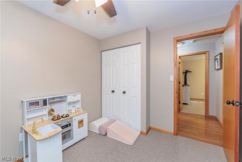 1009 Shelby Court Grafton OH 44044