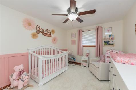 1009 Shelby Court Grafton OH 44044