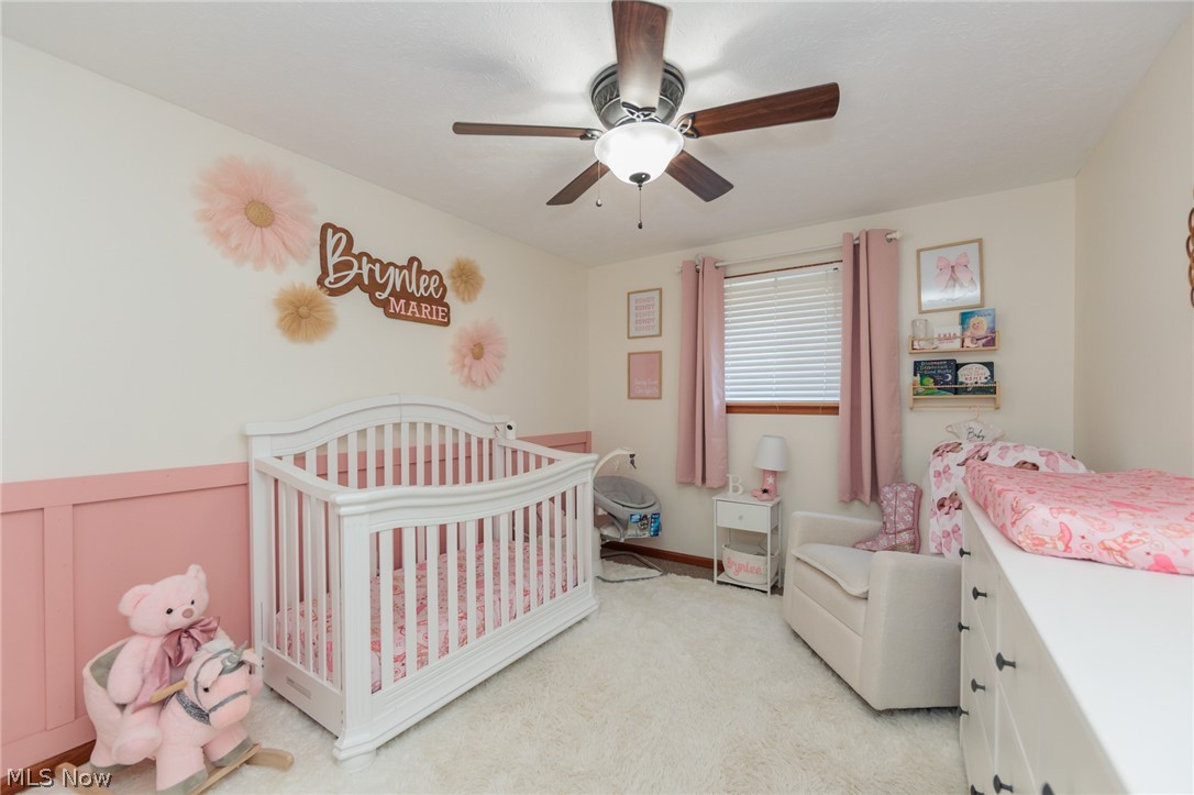 1009 Shelby Court Grafton OH 44044