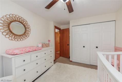 1009 Shelby Court Grafton OH 44044