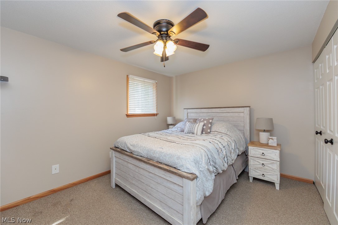 1009 Shelby Court Grafton OH 44044