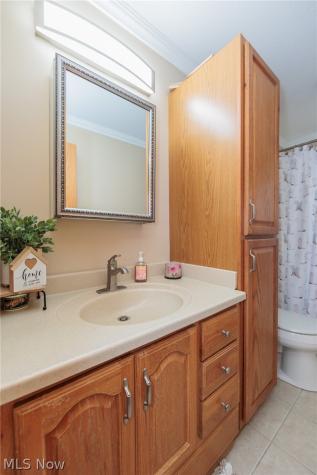 1009 Shelby Court Grafton OH 44044