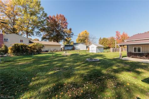 1009 Shelby Court Grafton OH 44044