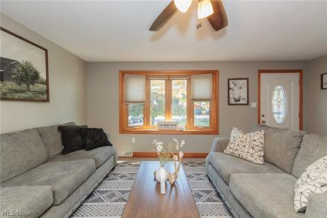 1009 Shelby Court Grafton OH 44044