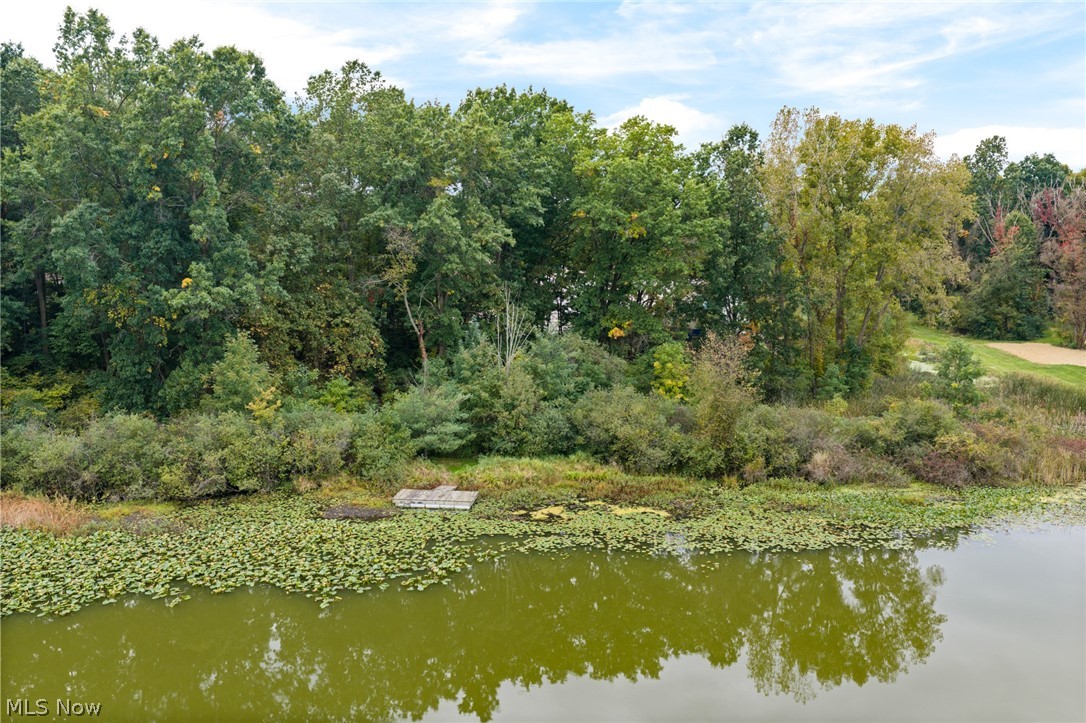 14236 Galehouse Road Doylestown OH 44230