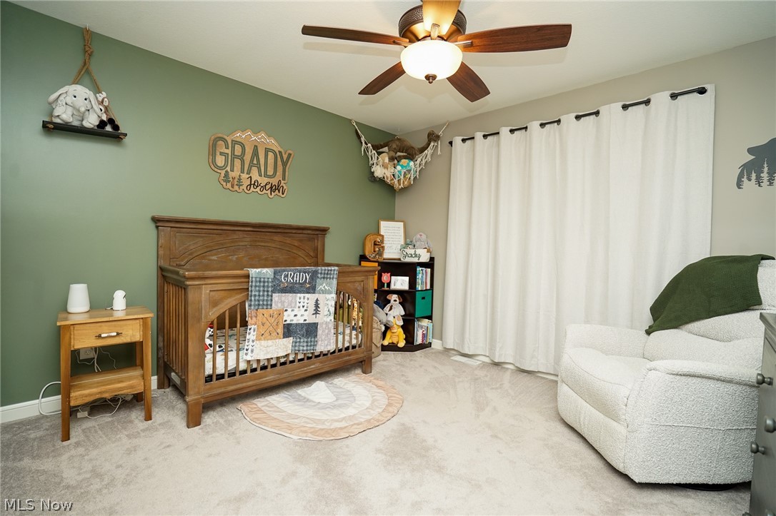 760 Radcliffe Pass Columbiana OH 44408