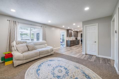 6764 Rolling Acres Court Painesville OH 44077