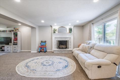 6764 Rolling Acres Court Painesville OH 44077