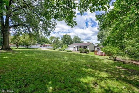 1163 Tonawanda Avenue Akron OH 44305
