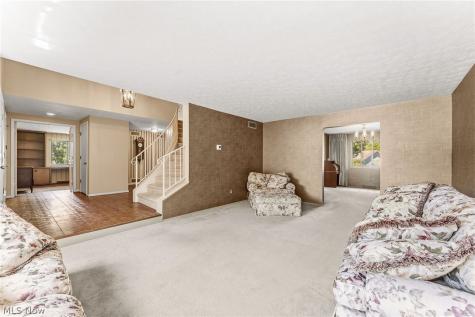 18101 Fern Canyon Drive Strongsville OH 44136